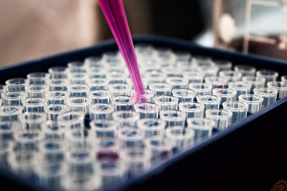 Lab technician pipetting samples for diagnostic testing